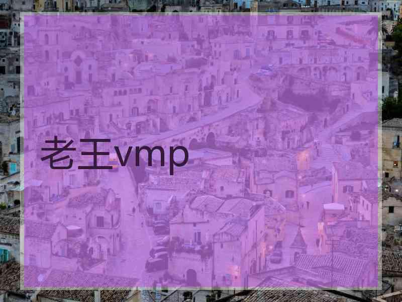 老王vmp