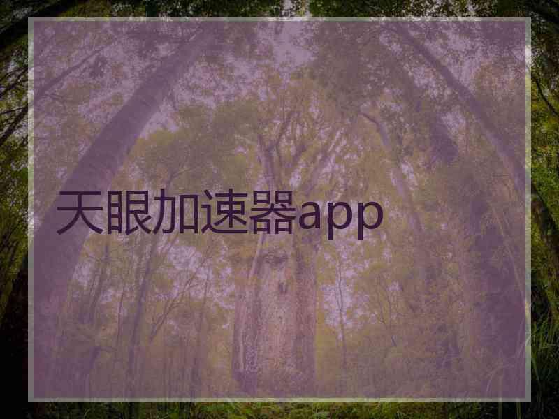 天眼加速器app