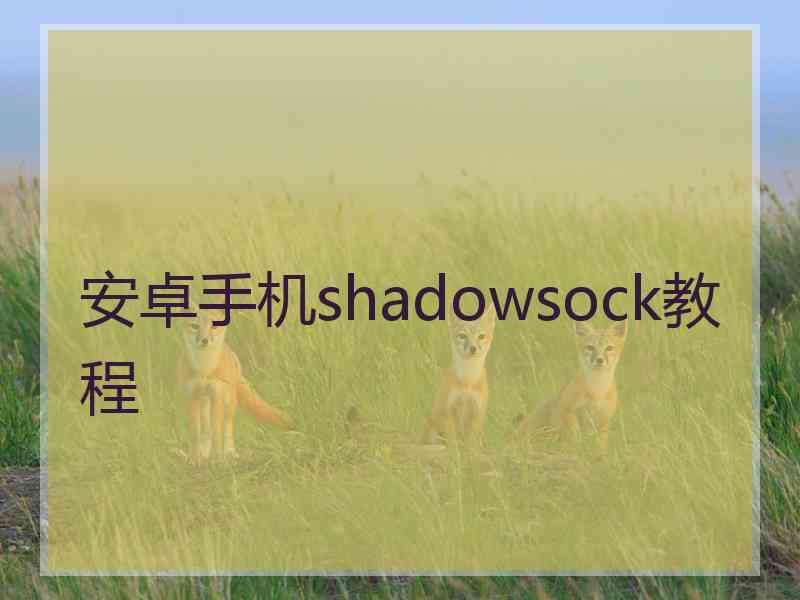 安卓手机shadowsock教程