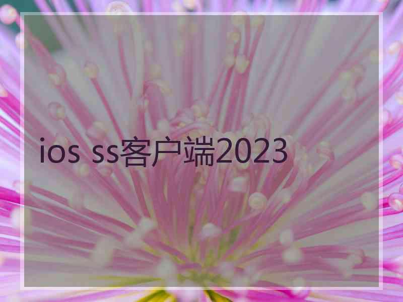 ios ss客户端2023