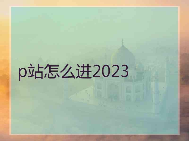 p站怎么进2023