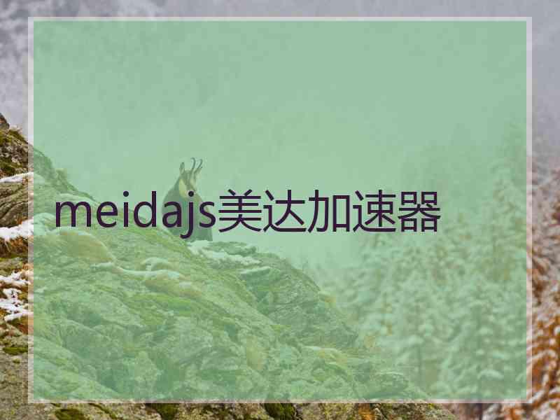 meidajs美达加速器