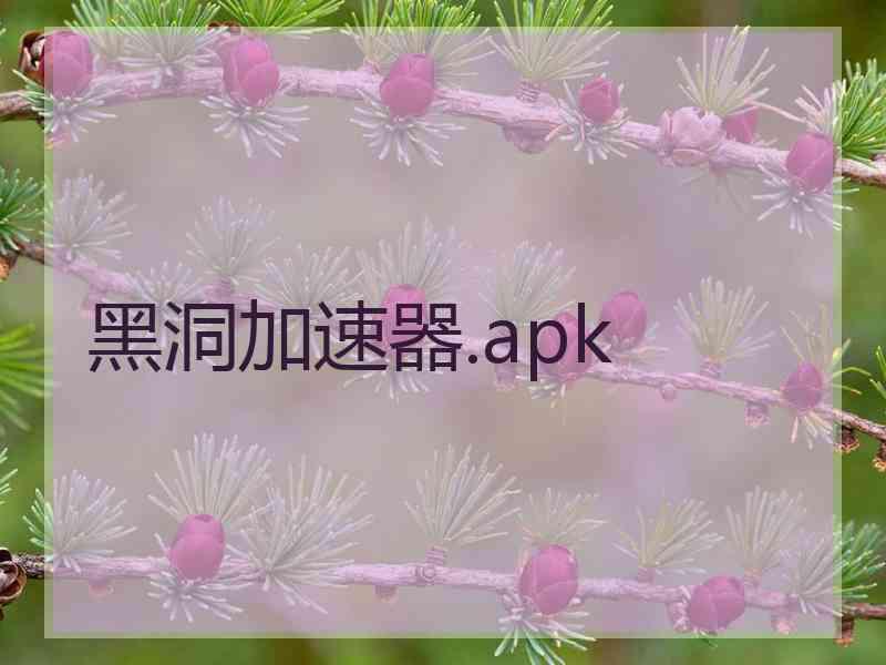 黑洞加速器.apk