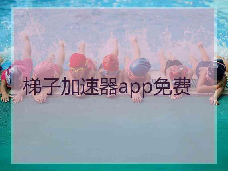 梯子加速器app免费