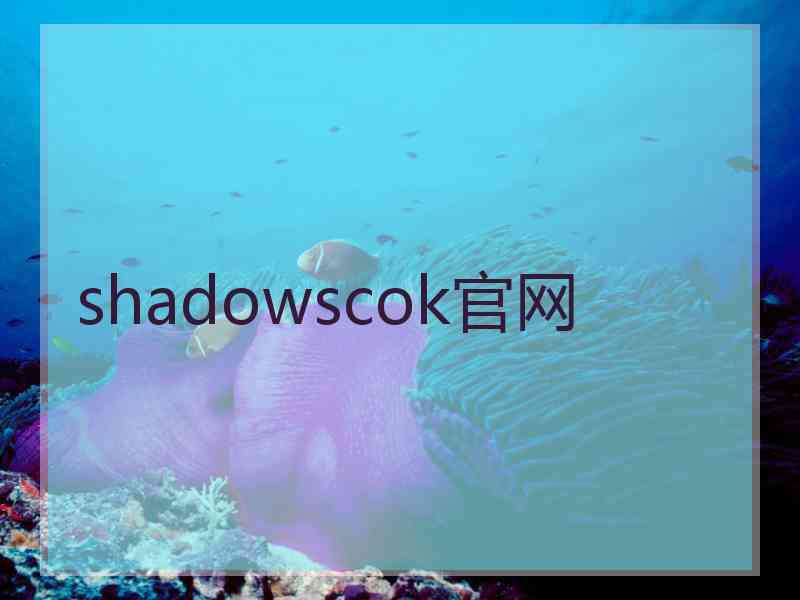 shadowscok官网