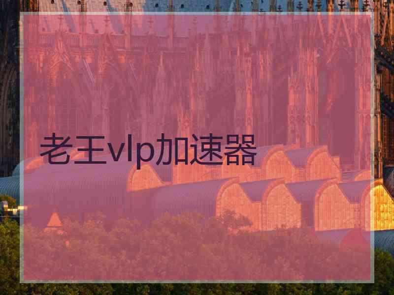 老王vlp加速器