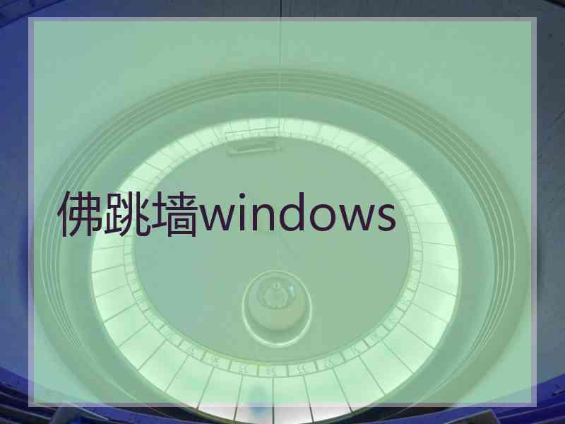 佛跳墙windows