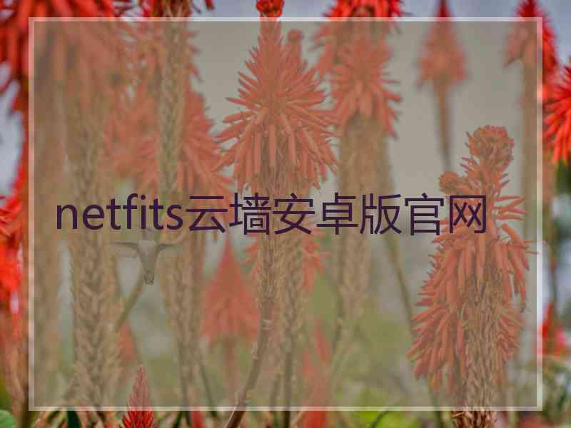 netfits云墙安卓版官网