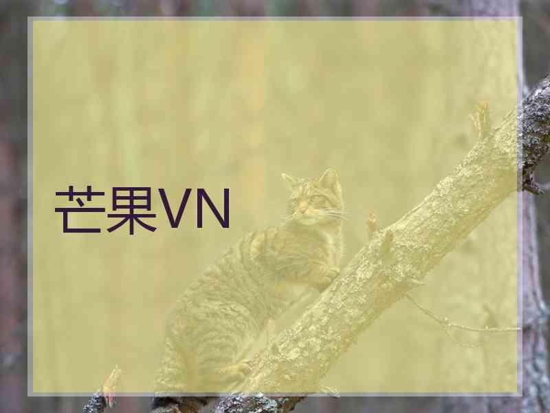 芒果VN