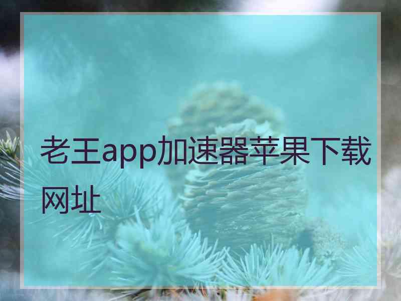 老王app加速器苹果下载网址