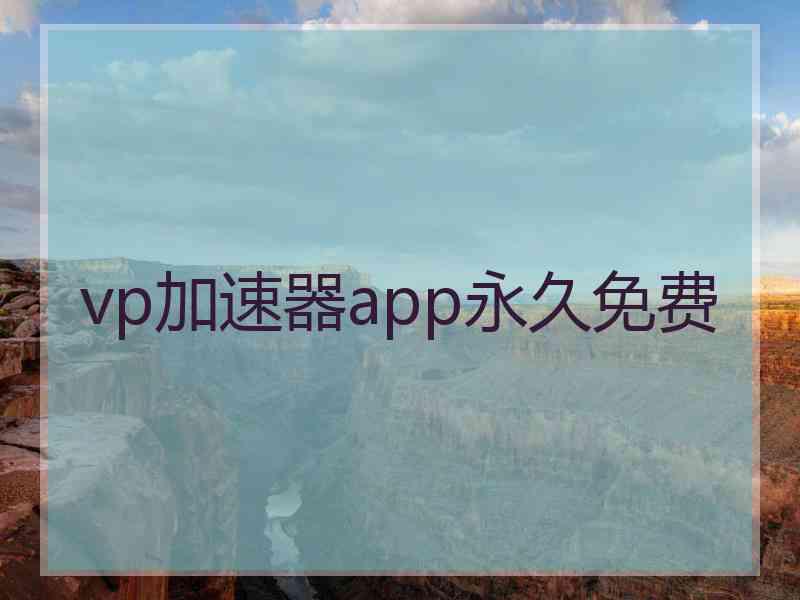 vp加速器app永久免费