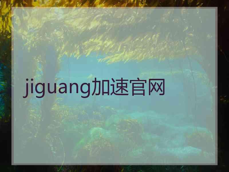 jiguang加速官网