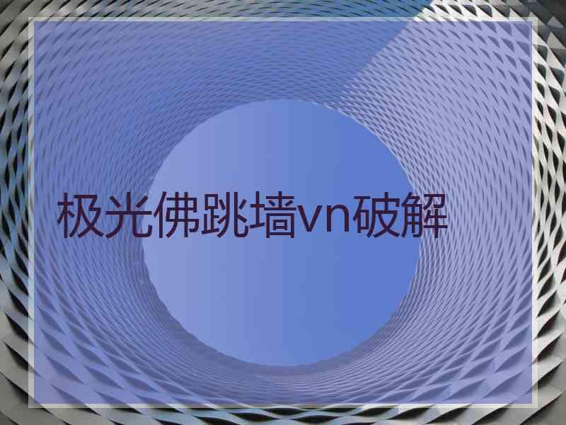 极光佛跳墙vn破解