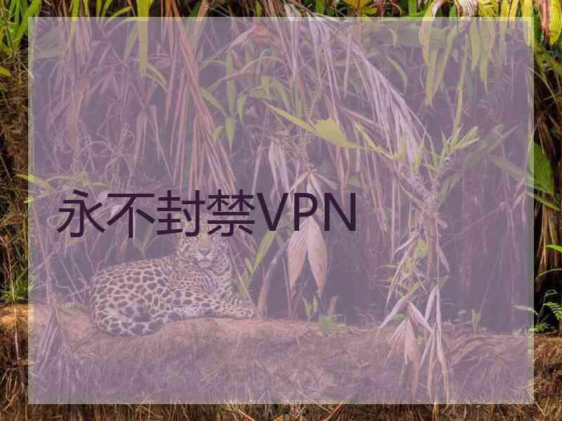 永不封禁VPN