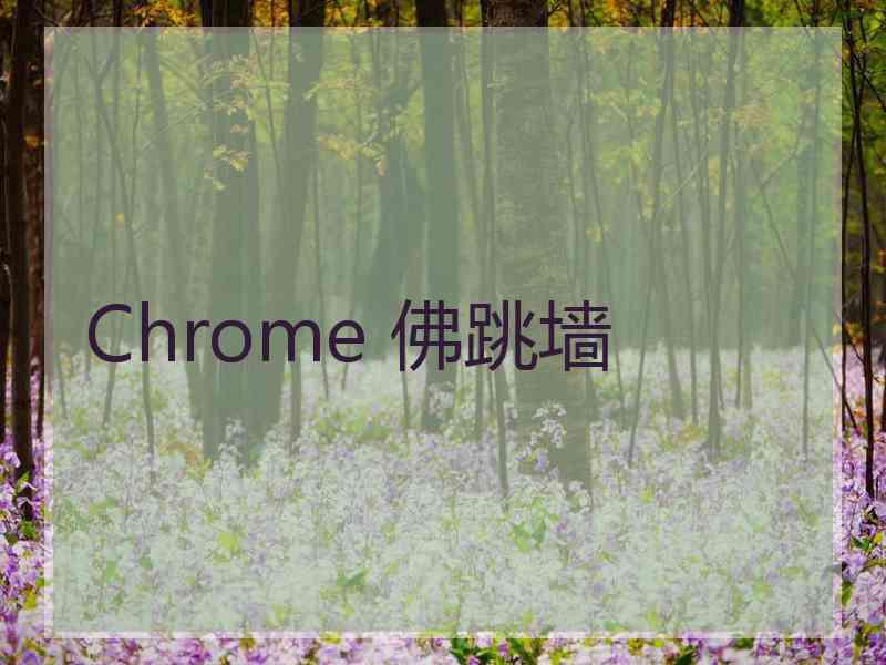 Chrome 佛跳墙