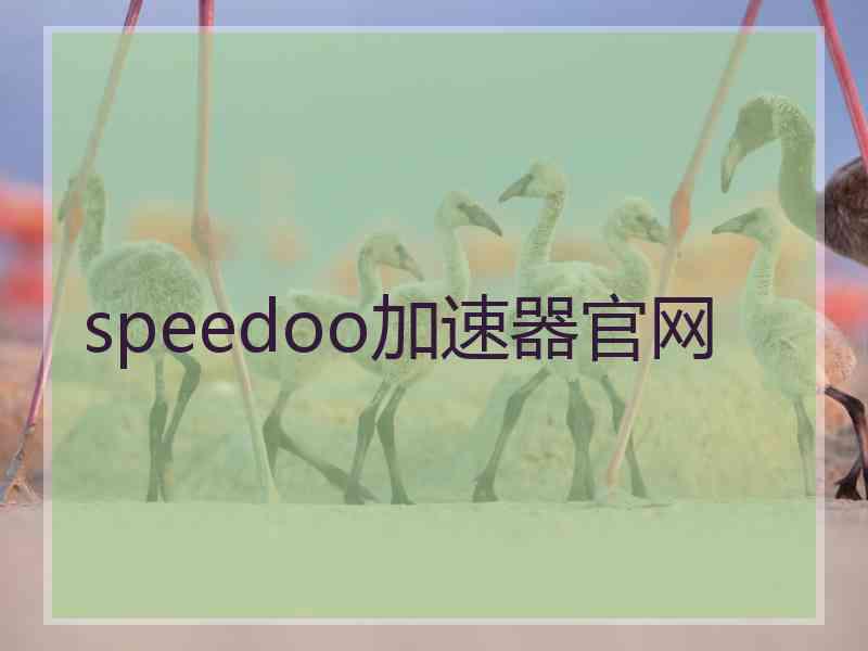 speedoo加速器官网