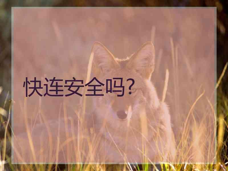 快连安全吗?