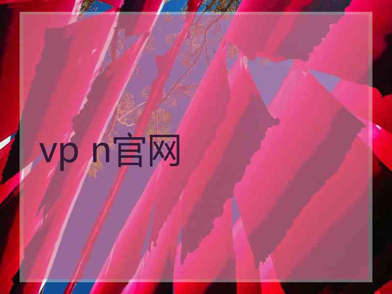 vp n官网