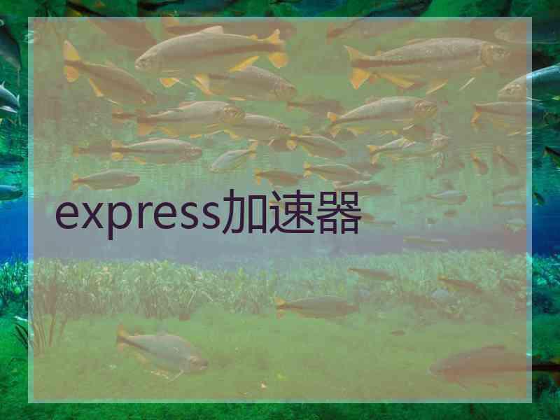 express加速器