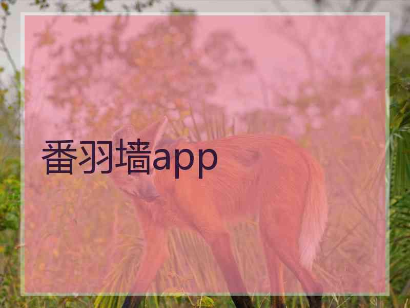 番羽墙app