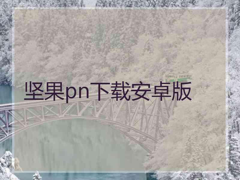 坚果pn下载安卓版