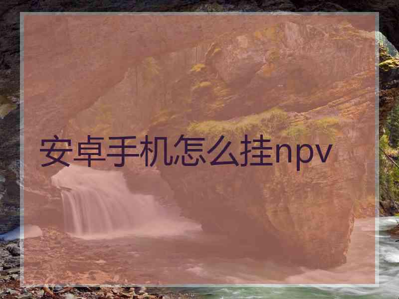 安卓手机怎么挂npv