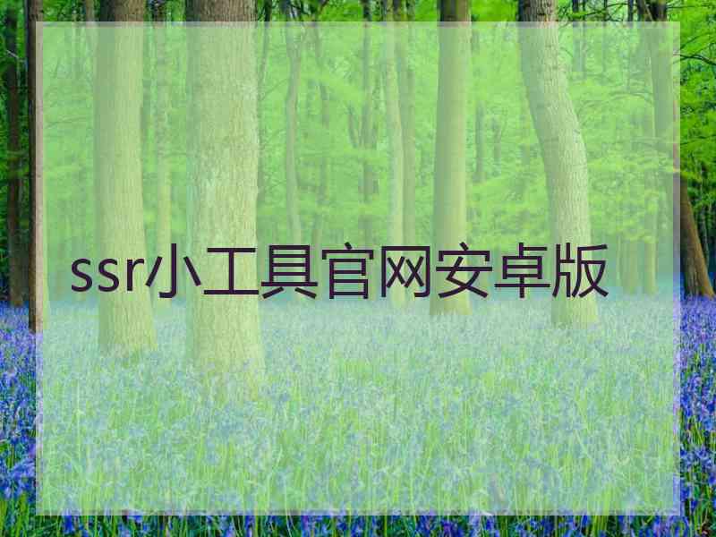 ssr小工具官网安卓版