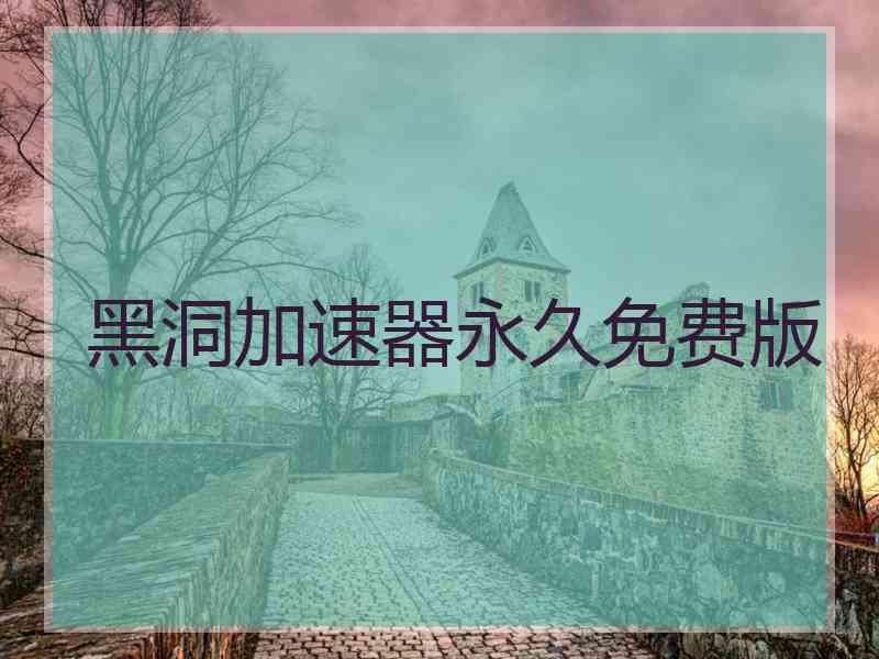 黑洞加速器永久免费版