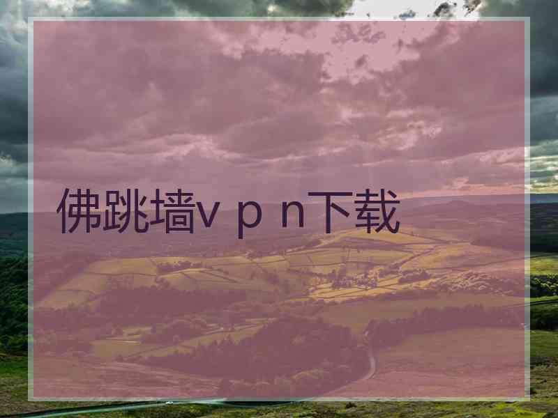 佛跳墙v p n下载