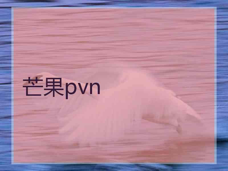 芒果pvn