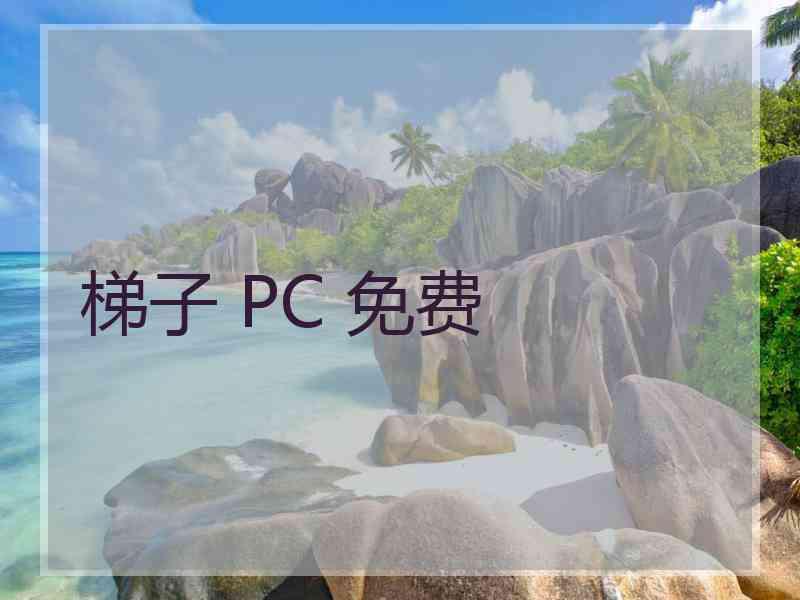 梯子 PC 免费