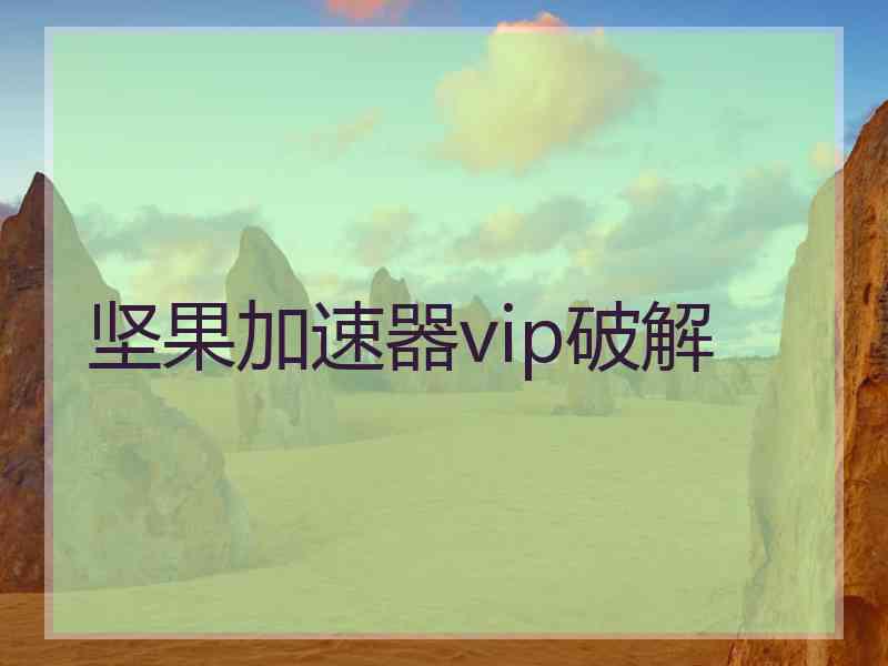 坚果加速器vip破解