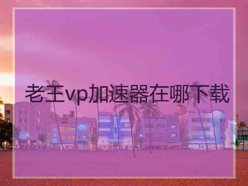 老王vp加速器在哪下载