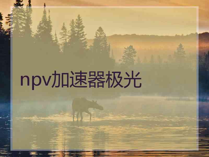 npv加速器极光