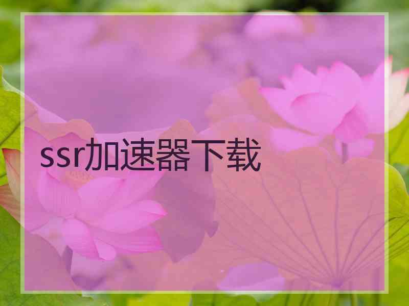 ssr加速器下载