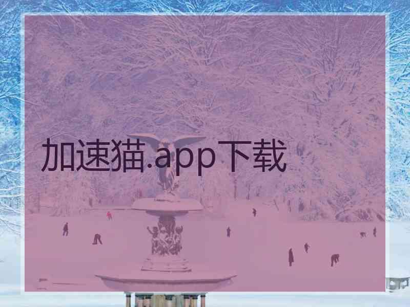 加速猫.app下载