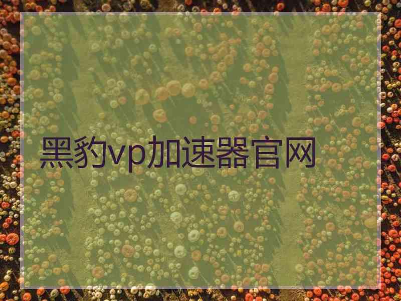 黑豹vp加速器官网