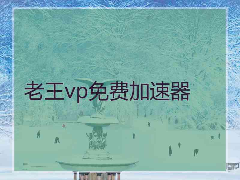 老王vp免费加速器