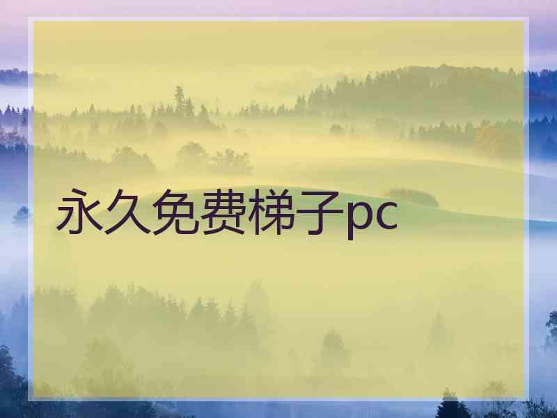 永久免费梯子pc