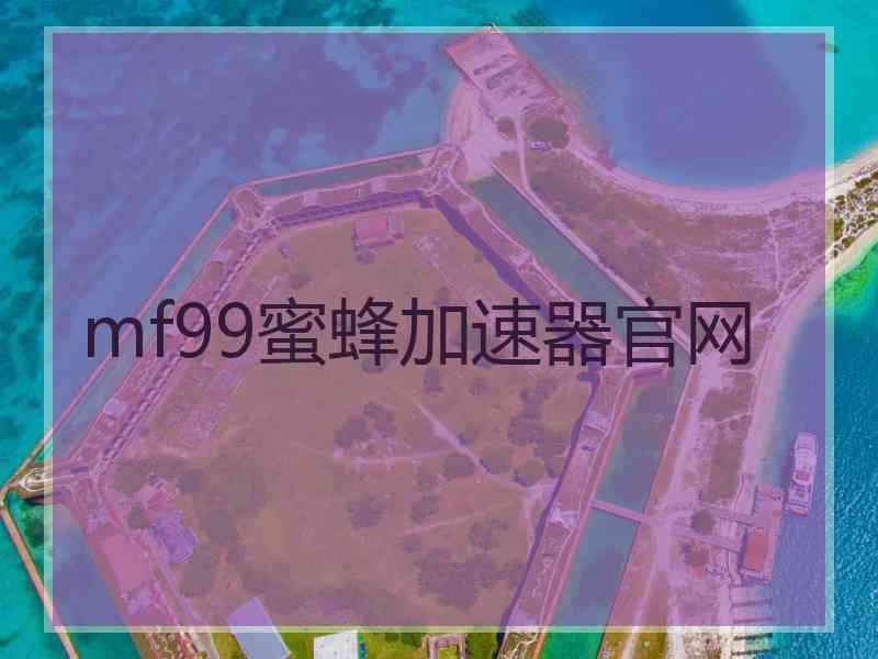 mf99蜜蜂加速器官网