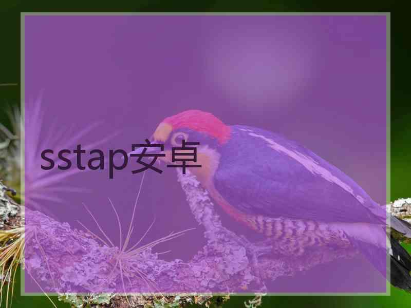 sstap安卓