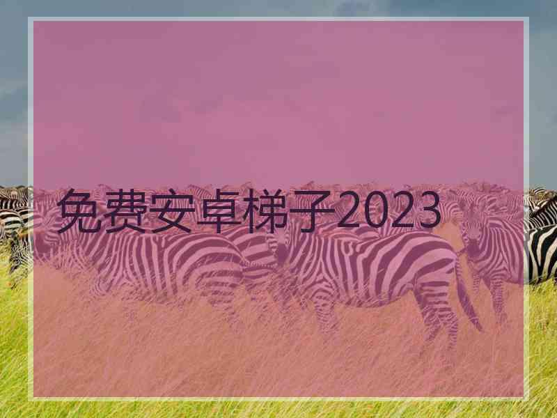 免费安卓梯子2023