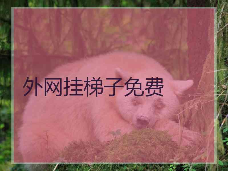 外网挂梯子免费