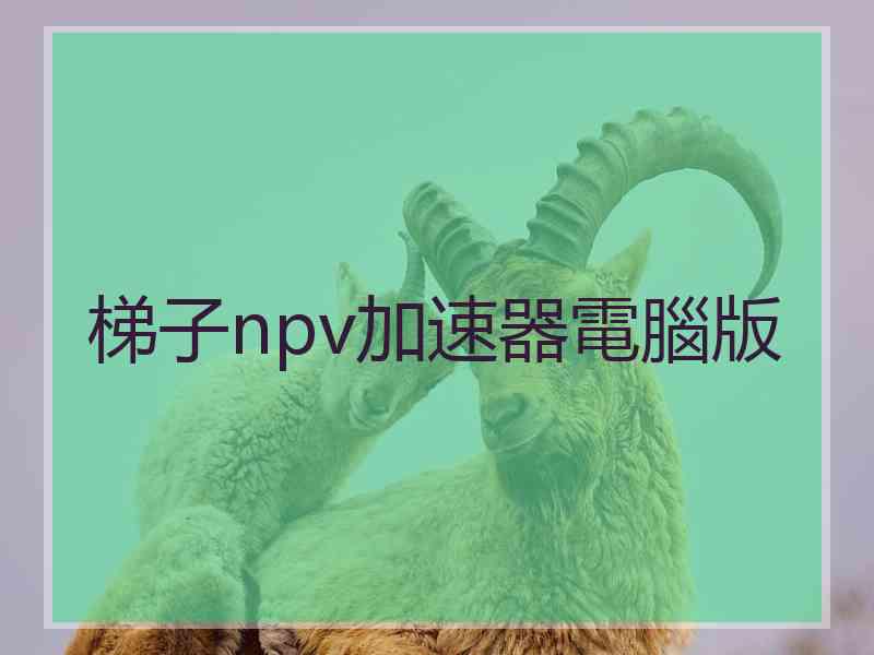 梯子npv加速器電腦版