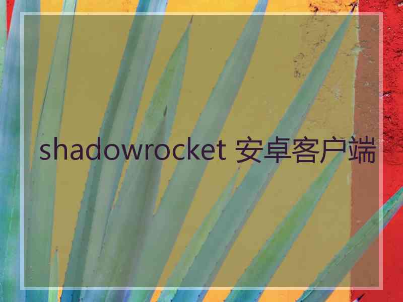 shadowrocket 安卓客户端