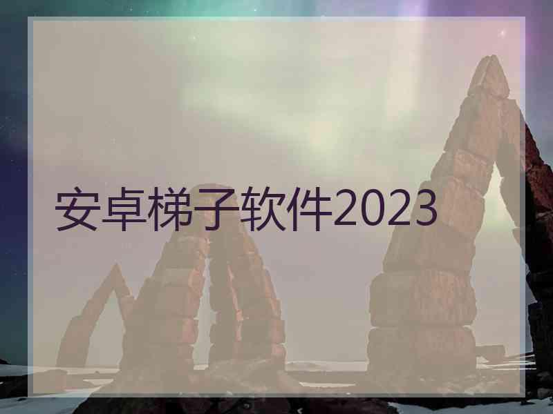 安卓梯子软件2023