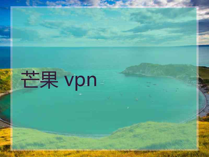 芒果 vpn