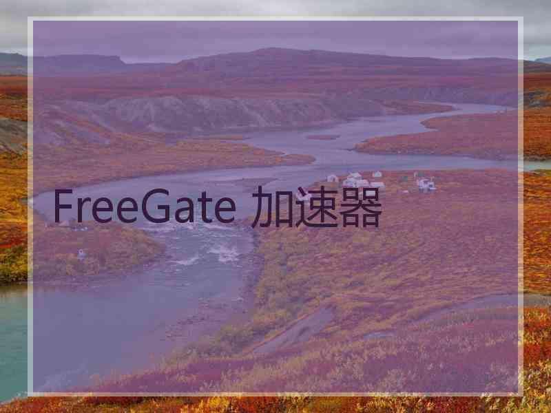 FreeGate 加速器