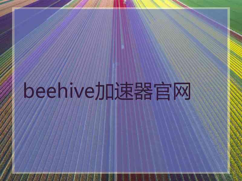 beehive加速器官网