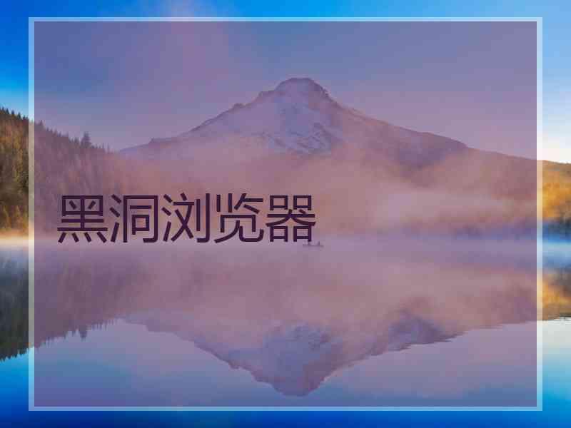 黑洞浏览器